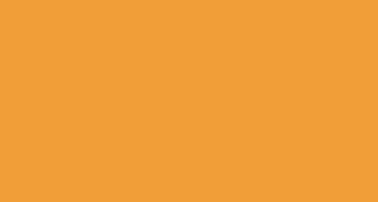 cropped-orange.jpg
